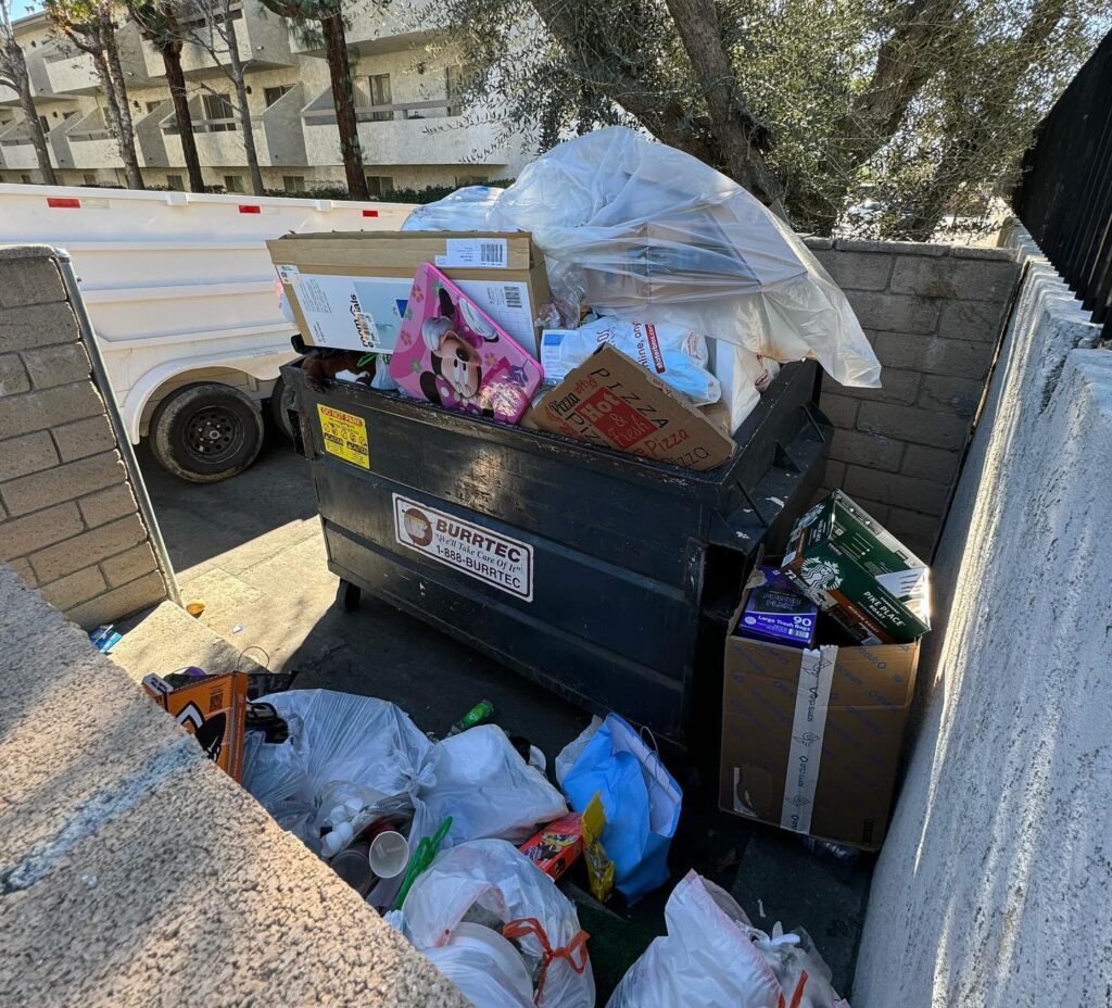A dumpster overflowing with mixed household trash and recyclables, with plastic bags and cardboard boxes visible, alongside a brick wall and a parked vehicle in the background.