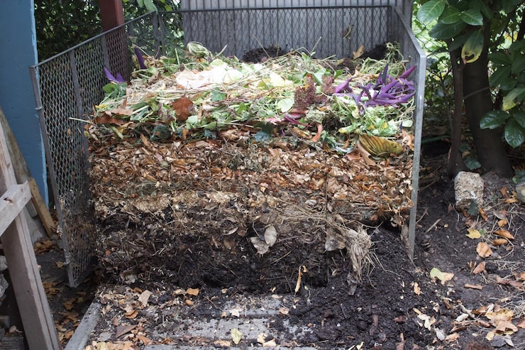 Garden Waste Removal