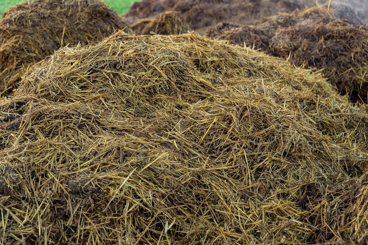 Grass Clippings Removal