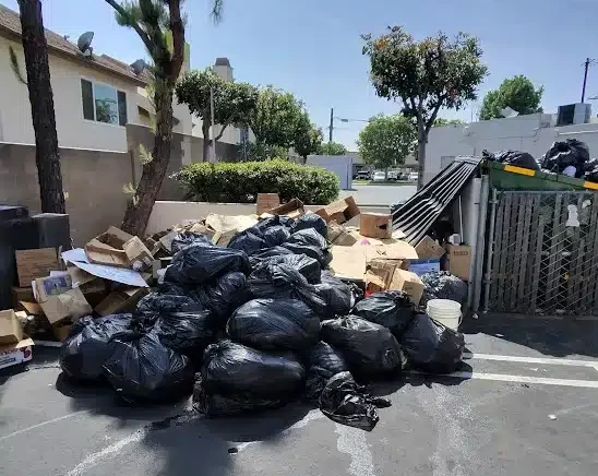 Junk Removal Cost