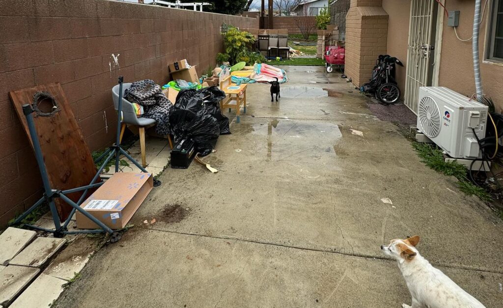 Junk Removal in High Desert