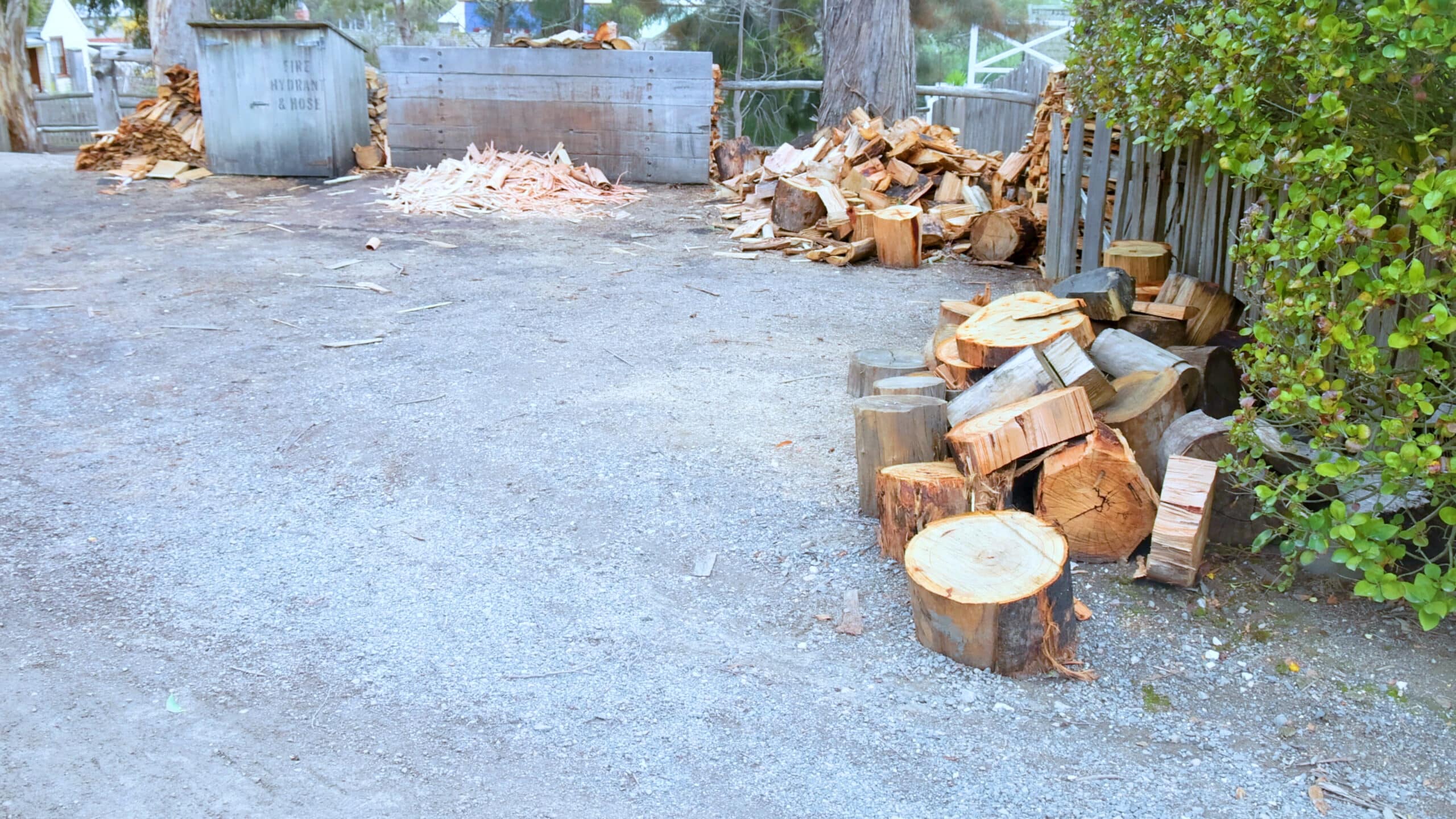 An outdoor lumberyard with gravel ground featuring piles of cut logs in the foreground, firewood stacked beside a wooden fence and green bushes, and a weathered wooden bin holding wood shavings, with a tree trunk in the background.